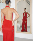 Dakota, Red